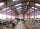 Vertientes de acero ligeras de alta resistencia de la granja para el diseño prefabricado ganado 9406000090