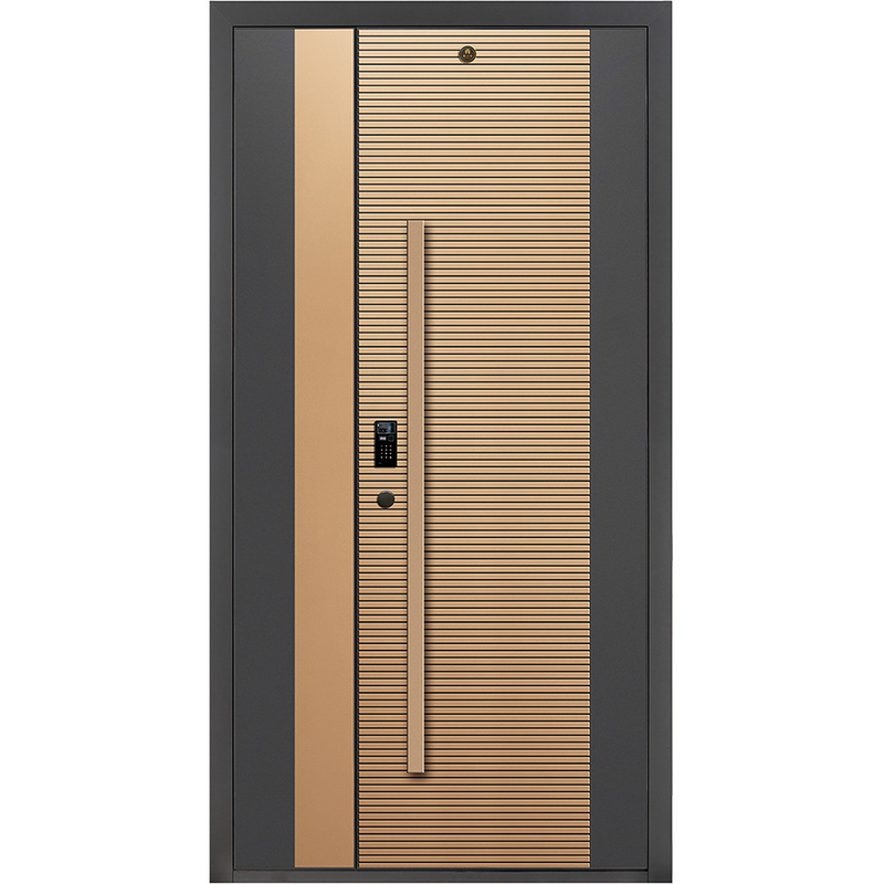 Puerta de entrada moderna de acero inoxidable puerta exterior cerradura inteligente puerta de entrada para puerta de la casa